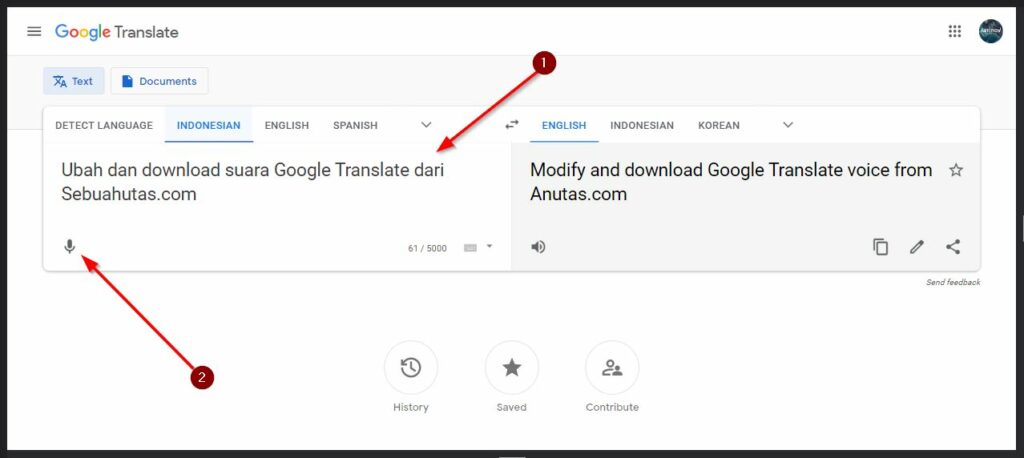 Putar Suara Google Dengan Situs Google Translate